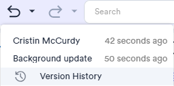 UndoVersionHistory.png